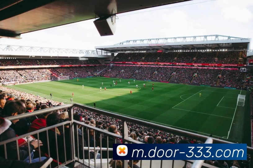 App Interface Preview