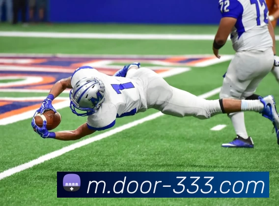 333体育APP 封面图